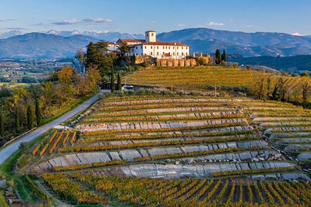 Vigneti di Rosazzo